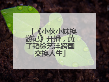 《小伙小妹换游记》开播，黄子韬徐艺洋跨国交换人生