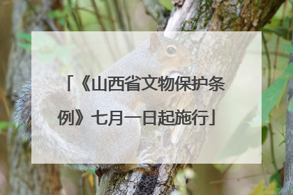 《山西省文物保护条例》七月一日起施行