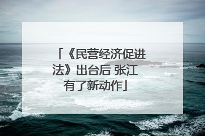 《民营经济促进法》出台后 张江有了新动作