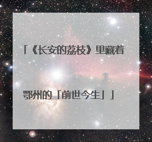 《长安的荔枝》里藏着鄂州的「前世今生」