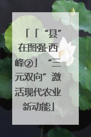 「“县”在图强·西峰②」“三元双向”激活现代农业新动能