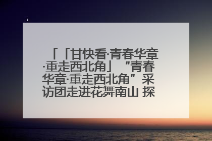「甘快看·青春华章·重走西北角」“青春华章·重走西北角”采访团走进花舞南山 探寻天水乡村振兴之路