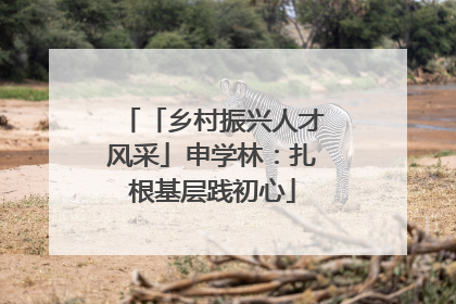 「乡村振兴人才风采」申学林：扎根基层践初心