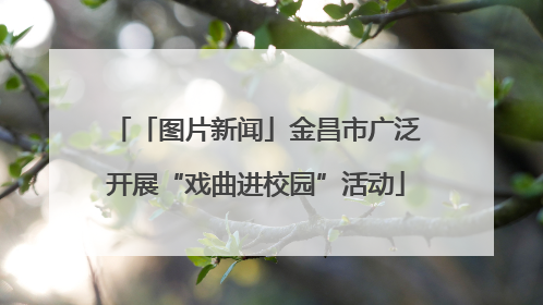 「图片新闻」金昌市广泛开展“戏曲进校园”活动