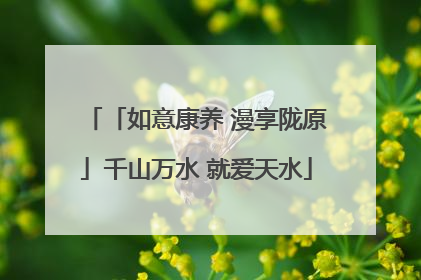 「如意康养 漫享陇原」千山万水 就爱天水