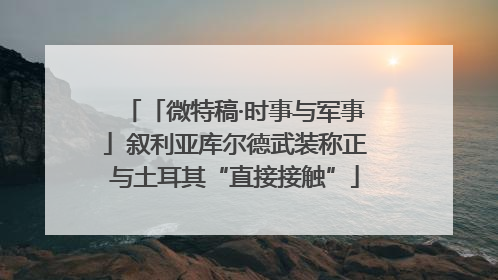 「微特稿·时事与军事」叙利亚库尔德武装称正与土耳其“直接接触”