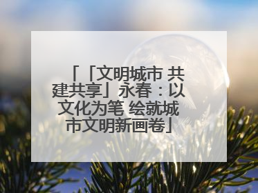 「文明城市 共建共享」永春：以文化为笔 绘就城市文明新画卷