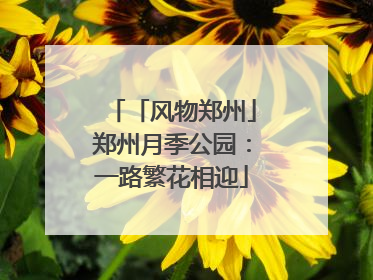 「风物郑州」郑州月季公园：一路繁花相迎