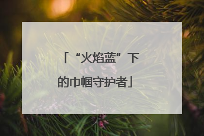 “火焰蓝”下的巾帼守护者
