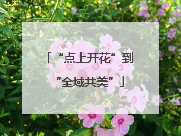 “点上开花”到“全域共美”