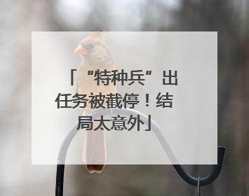 “特种兵”出任务被截停！结局太意外