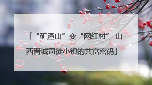 “矿渣山”变“网红村” 山西晋城司徒小镇的共富密码