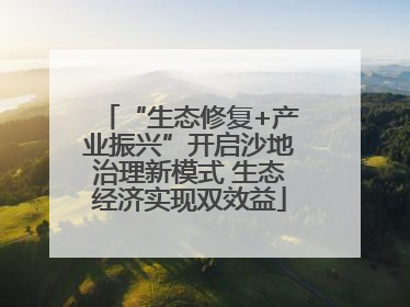 “生态修复+产业振兴”开启沙地治理新模式 生态经济实现双效益