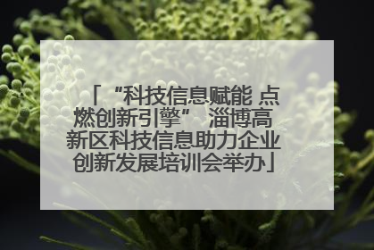 “科技信息赋能 点燃创新引擎” 淄博高新区科技信息助力企业创新发展培训会举办