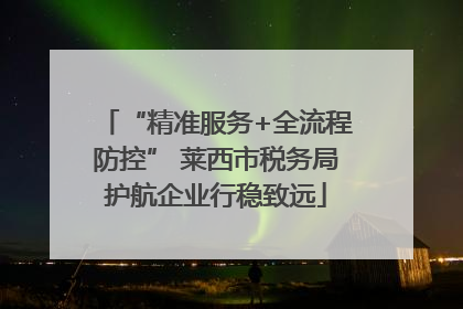 “精准服务+全流程防控” 莱西市税务局护航企业行稳致远