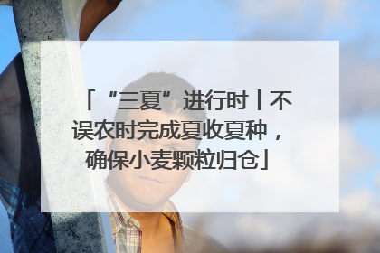 “三夏”进行时丨不误农时完成夏收夏种，确保小麦颗粒归仓