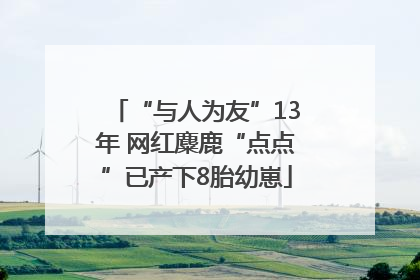 “与人为友”13年 网红麋鹿“点点”已产下8胎幼崽