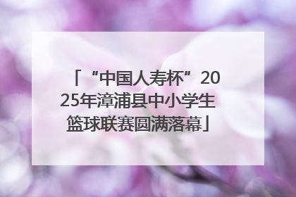 “中国人寿杯”2025年漳浦县中小学生篮球联赛圆满落幕