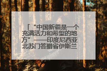 “中国新疆是一个充满活力和希望的地方”——印度尼西亚北苏门答腊省伊斯兰教代表团参访新疆