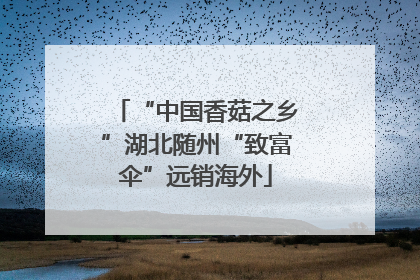 “中国香菇之乡”湖北随州“致富伞”远销海外