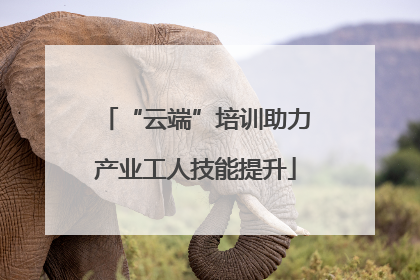 “云端”培训助力产业工人技能提升