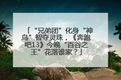 “兄弟团”化身“神鸟”智夺灵珠，《奔跑吧13》今晚“百谷之王”花落谁家？