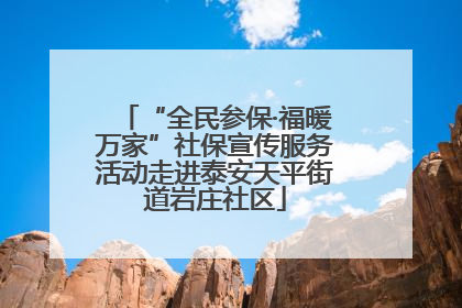 “全民参保·福暖万家”社保宣传服务活动走进泰安天平街道岩庄社区