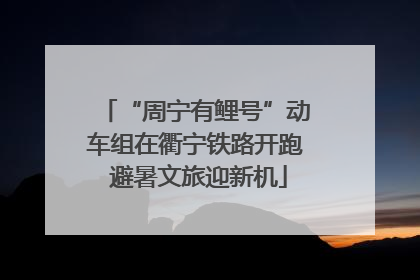 “周宁有鲤号”动车组在衢宁铁路开跑 避暑文旅迎新机