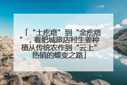 “土疙瘩”到“金疙瘩”，看肥城旅店村生姜种植从传统农作到“云上”热销的蝶变之路