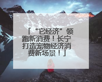 “它经济”领跑新消费！长宁打造宠物经济消费新场景！