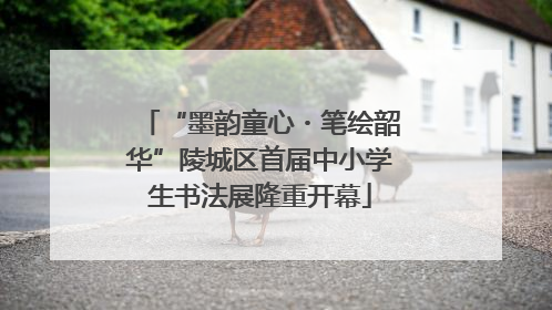 “墨韵童心・笔绘韶华”陵城区首届中小学生书法展隆重开幕