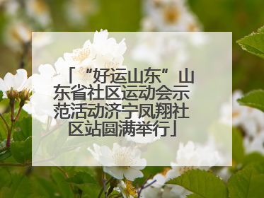 “好运山东”山东省社区运动会示范活动济宁凤翔社区站圆满举行