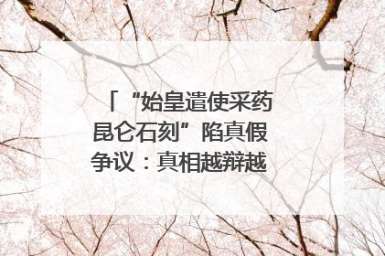 “始皇遣使采药昆仑石刻”陷真假争议：真相越辩越明｜新京报专栏