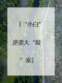 “小白”逆袭大“盈”家
