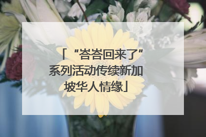 “峇峇回来了”系列活动传续新加坡华人情缘