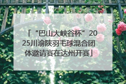 “巴山大峡谷杯”2025川渝陕羽毛球混合团体邀请赛在达州开赛