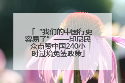 “我们的中国行更容易了”——印尼民众点赞中国240小时过境免签政策