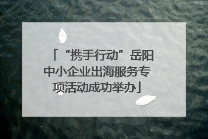 “携手行动”岳阳中小企业出海服务专项活动成功举办