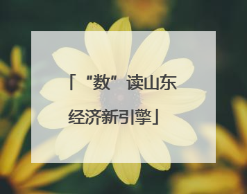 “数”读山东经济新引擎