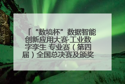 “数境杯”数据智能创新应用大赛·工业数字孪生 专业赛（第四届）全国总决赛及颁奖典礼成功举办