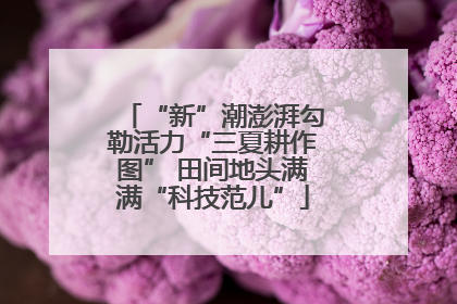 “新”潮澎湃勾勒活力“三夏耕作图” 田间地头满满“科技范儿”
