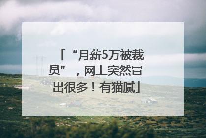 “月薪5万被裁员”，网上突然冒出很多！有猫腻