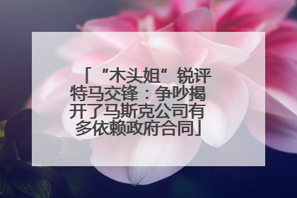 “木头姐”锐评特马交锋：争吵揭开了马斯克公司有多依赖政府合同