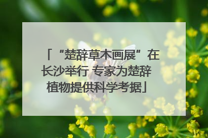 “楚辞草木画展”在长沙举行 专家为楚辞植物提供科学考据