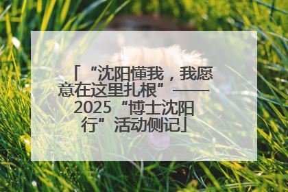 “沈阳懂我，我愿意在这里扎根”——2025“博士沈阳行”活动侧记
