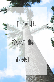 “河北净菜”靓起来