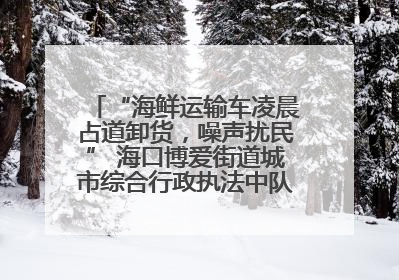 “海鲜运输车凌晨占道卸货，噪声扰民” 海口博爱街道城市综合行政执法中队：将联合交警加强长堤路一带巡逻