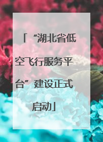 “湖北省低空飞行服务平台”建设正式启动