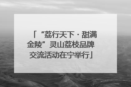 “荔行天下・甜满金陵”灵山荔枝品牌交流活动在宁举行