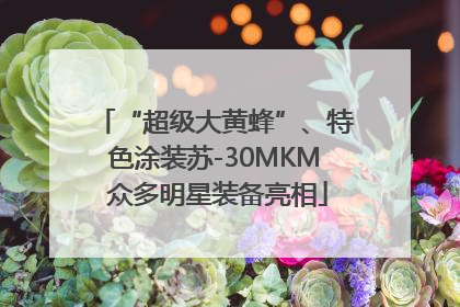 “超级大黄蜂”、特色涂装苏-30MKM 众多明星装备亮相